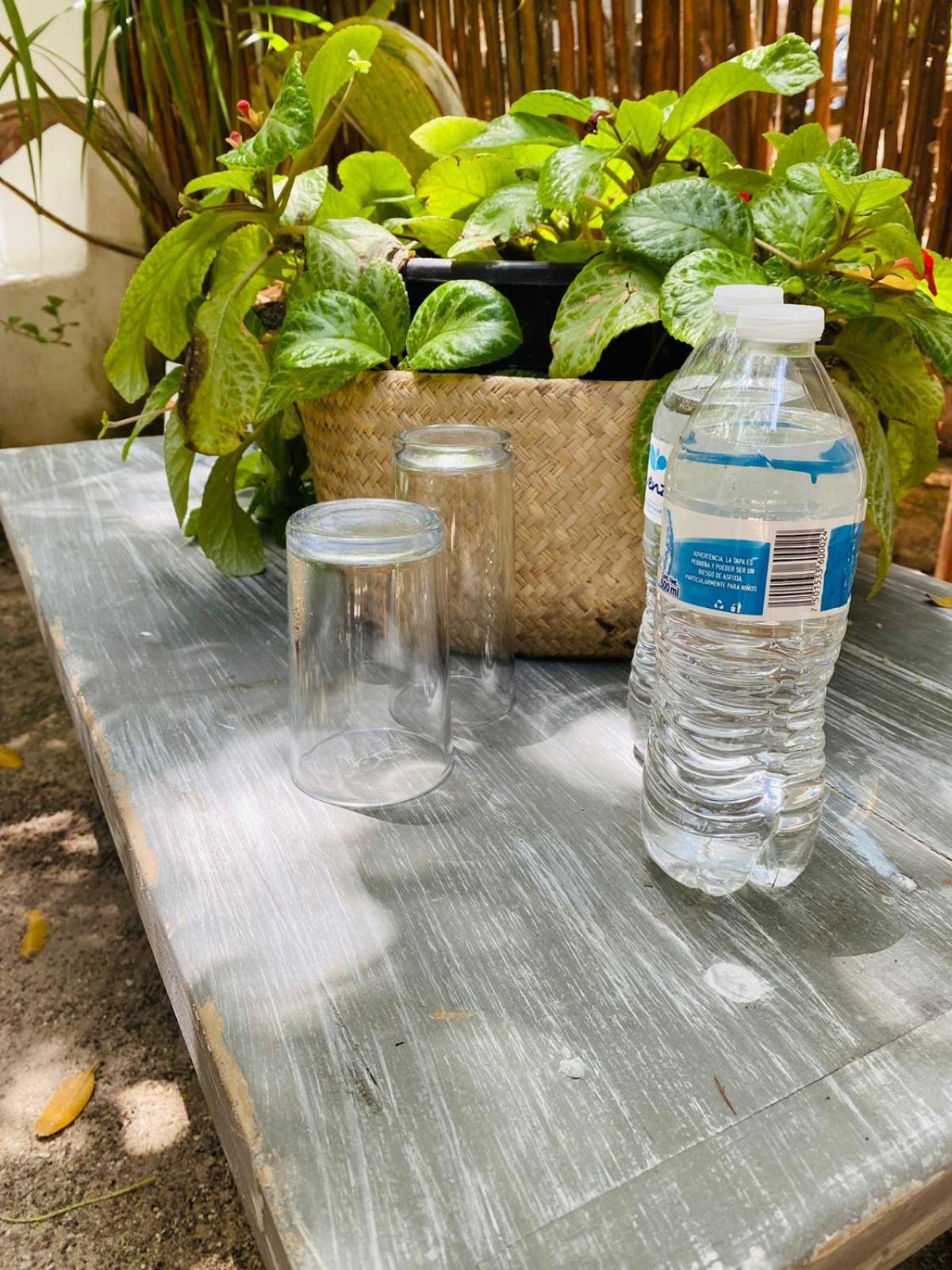 Holbox Deluxe Apartments エクステリア 写真